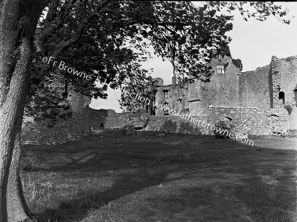 THE CASTLE DISTANT VIEW FROM S.E.